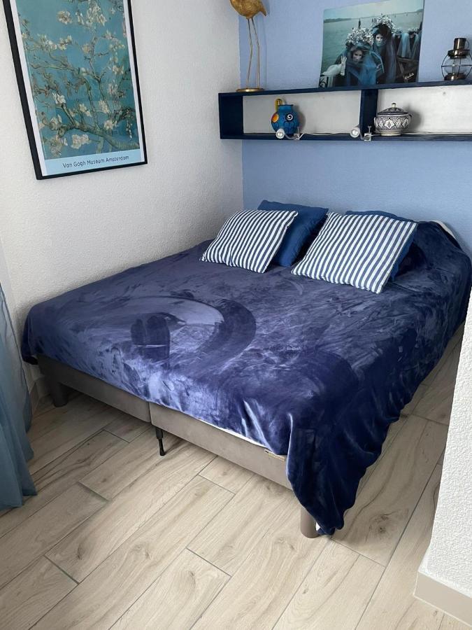 F3 Avec Jolie Vue Appartement Le Barcarès